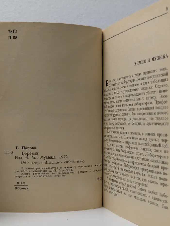 Школьная библиотека. Бородин