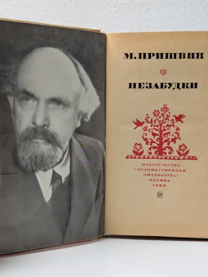 Незабудки