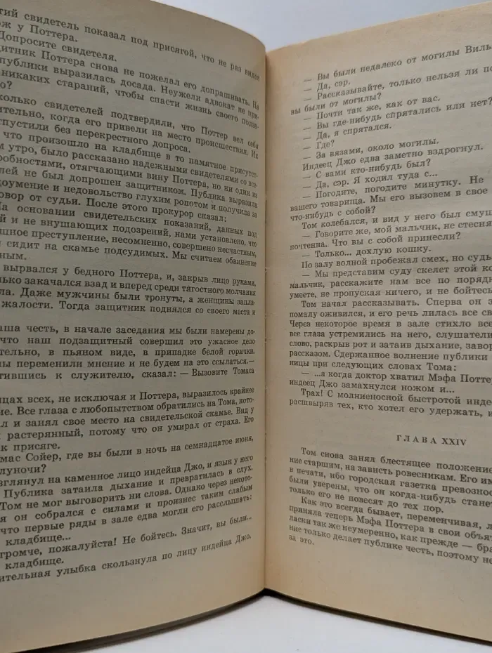 Приключения Тома Сойера. Принц и нищий