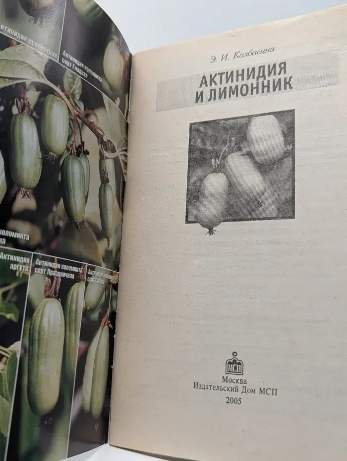 Цветы и кустарники. Актинидия и лимонник