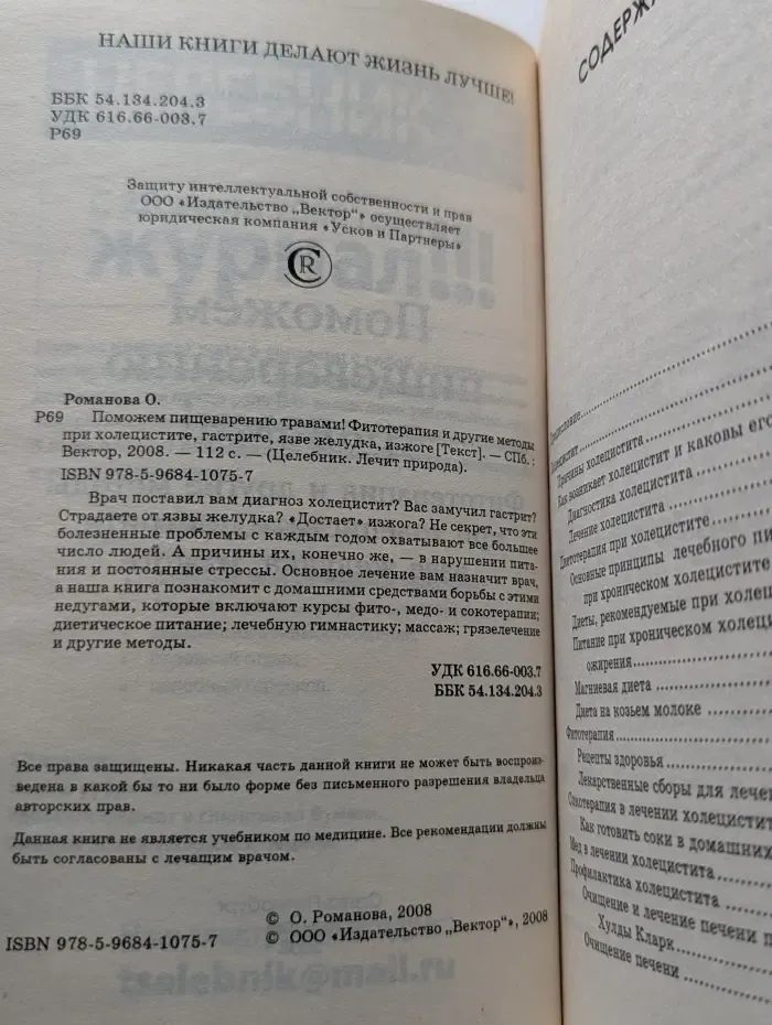Целебник. Лечит природа. Поможем пищеварению травами! Фитотерапия и другие методы при холецистите, гастрите, язве желудка, изжоге