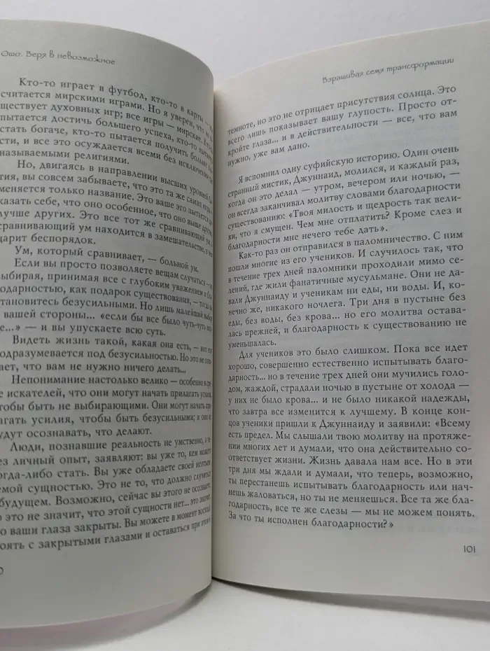 Путь мистика. Ошо-классика. Веря в невозможное перед завтраком. Звук тишины, алмаз в лотосе