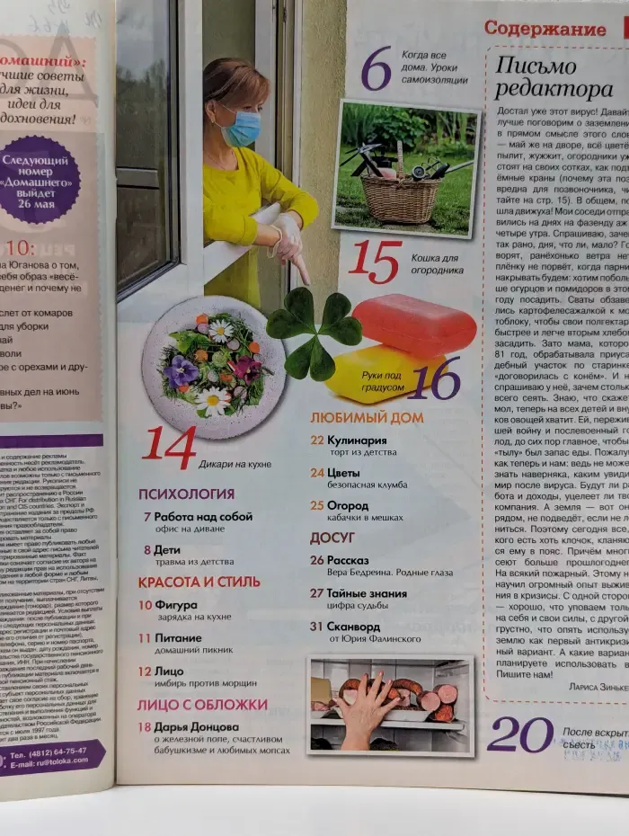 Домашний. Выпуск № 9/2020