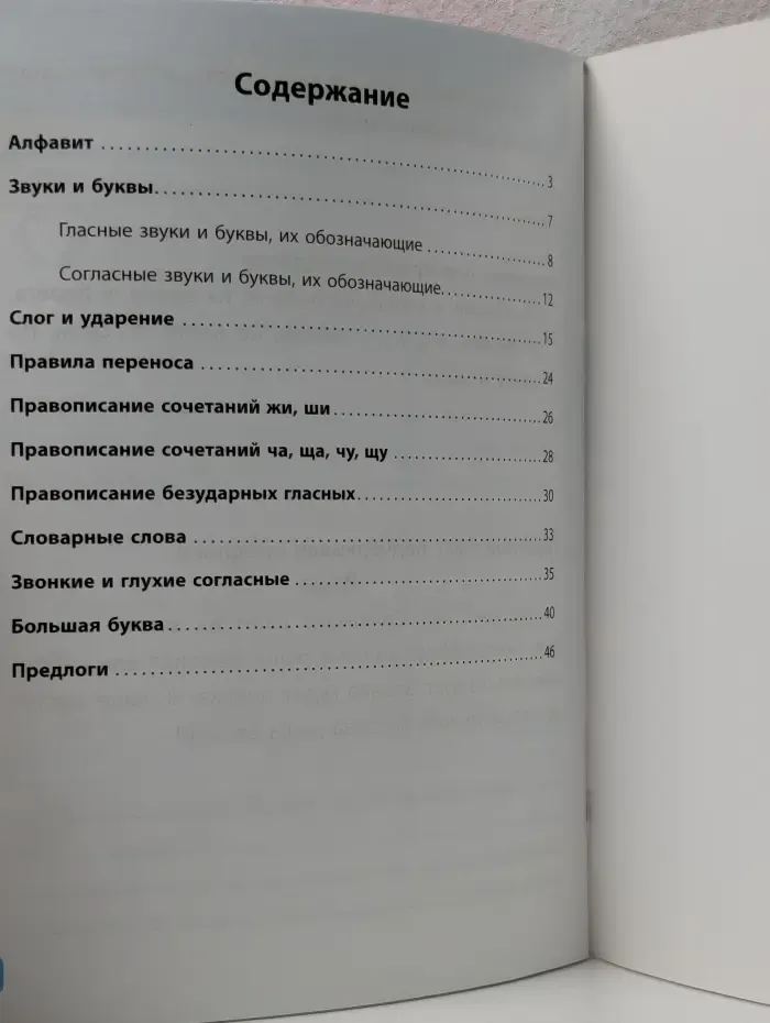 Умникам и умничкам. Занятия по русскому языку. 1 класс