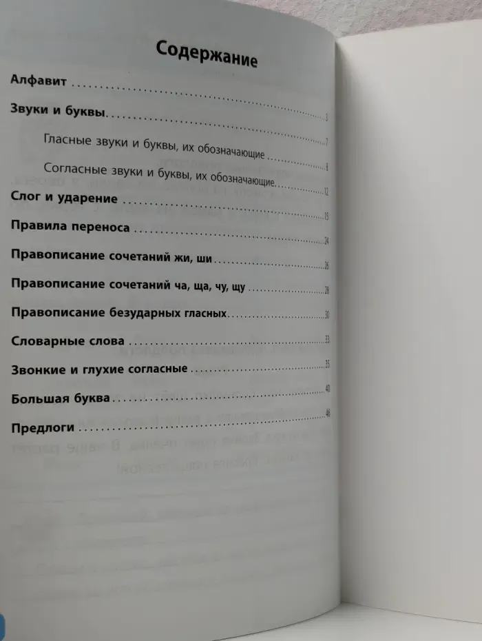 Умникам и умничкам. Занятия по русскому языку. 1 класс