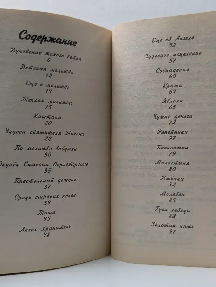 Божьи вешки. Рассказы о чудесных случаях