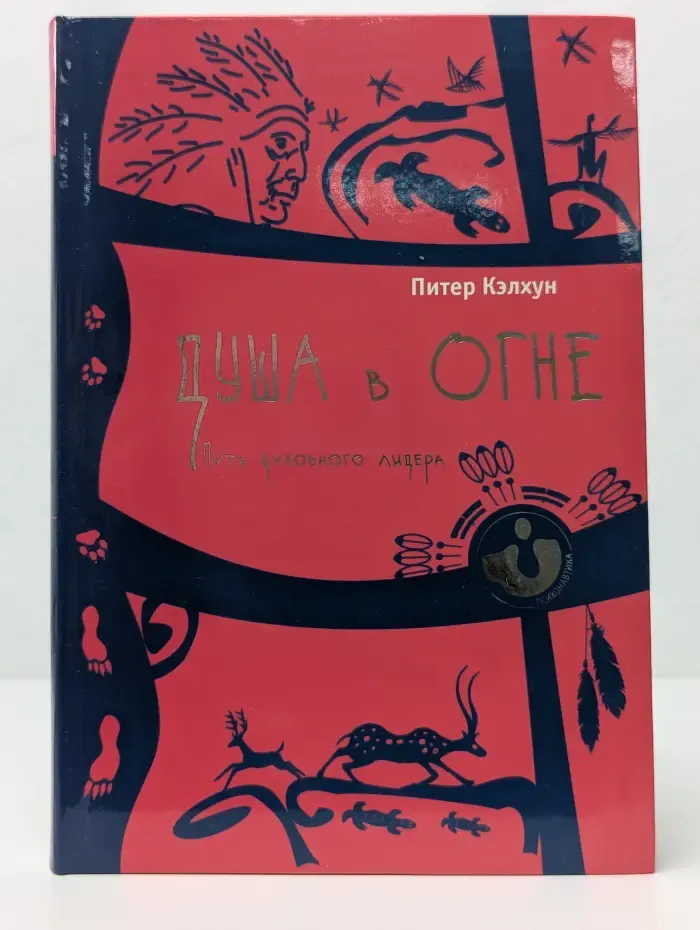 Психонавтика. Душа в огне. Путь духовного лидера