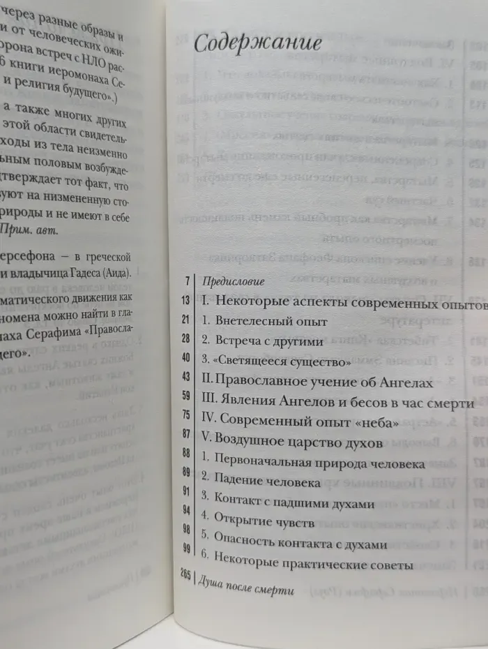 Духовное наследие Русского зарубежья. Душа после смерти
