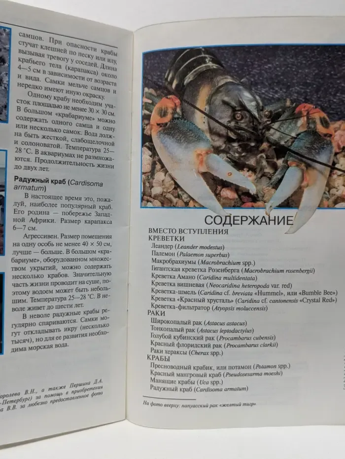 Золотые советы по уходу и содержанию. Пресноводные креветки, раки, крабы