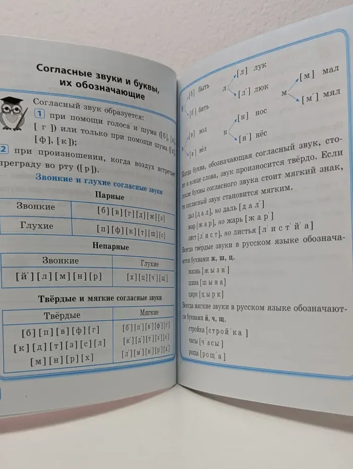Умникам и умничкам. Занятия по русскому языку. 1 класс