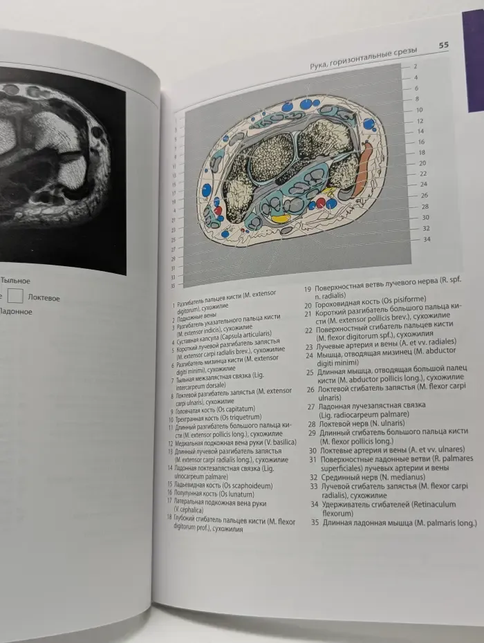 Атлас секционной анатомии человека на примере КТ- и МРТ-срезов. В 3 томах. Том 3. Позвоночник, конечности, суставы