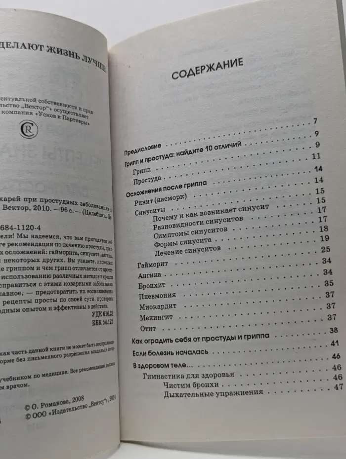 Целебник. Лечит природа. Рецепты знахарей при простудных заболеваниях и гриппе
