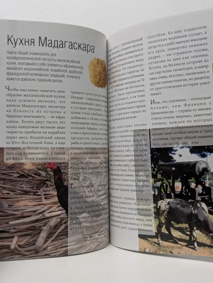 Дневник для путешественника. Мадагаскар. Путеводитель