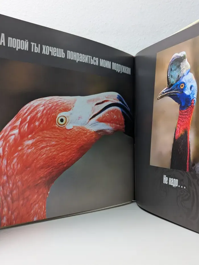 Самому умному, доброму, сильному