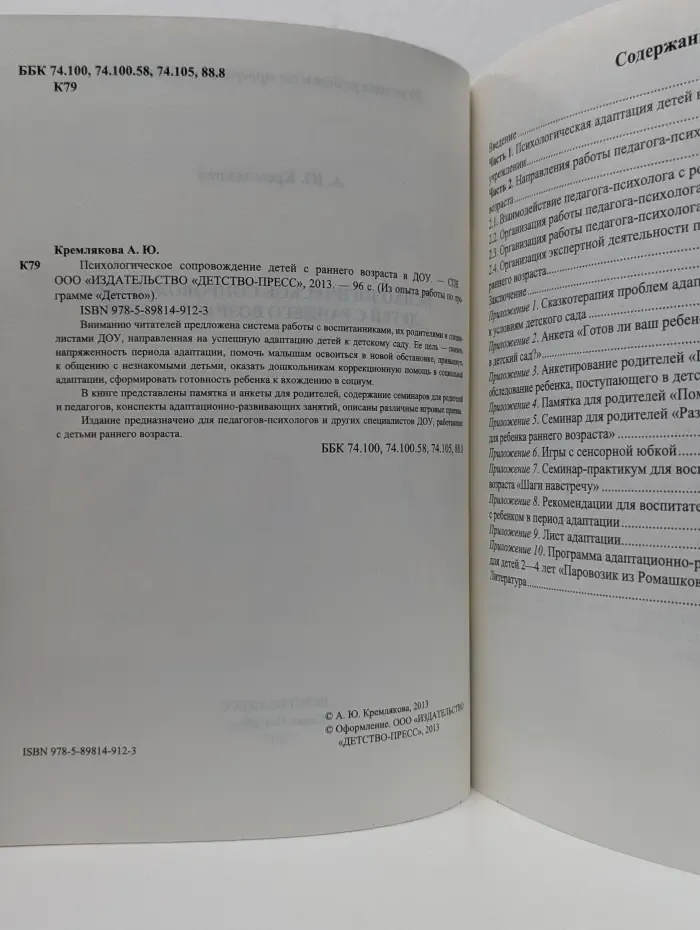 Из опыта работы по программе Детство. Психологическое сопровождение детей с раннего возраста в ДОУ