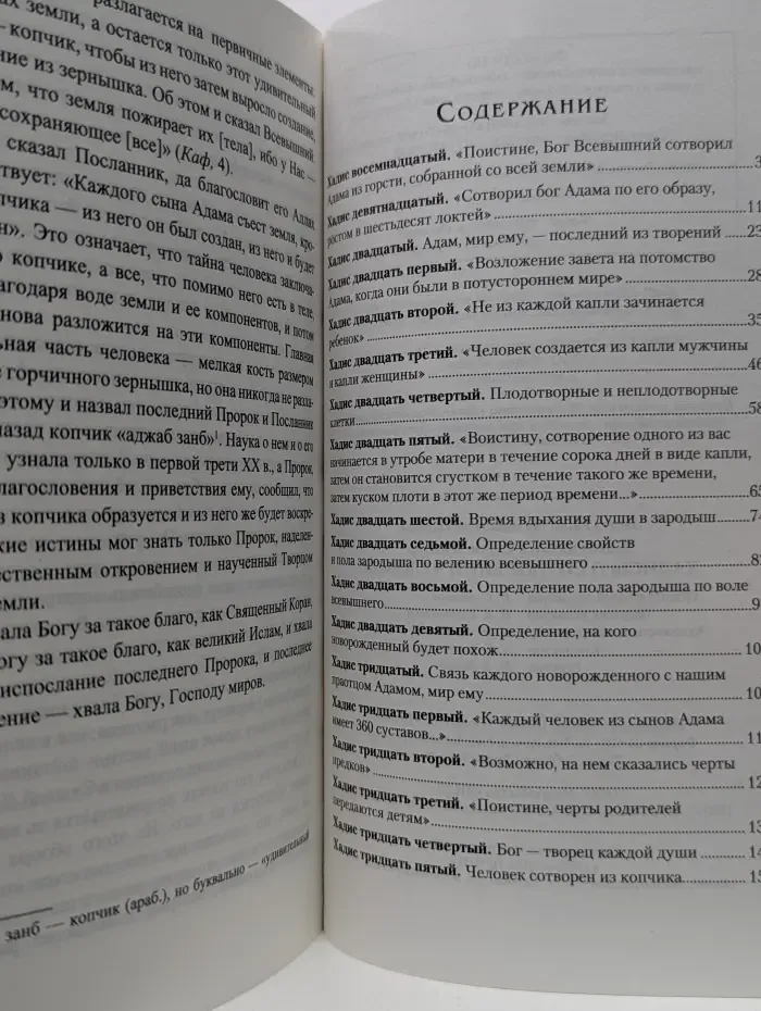 Чудеса науки в Сунне Пророка. Хадисы о сотворении человека
