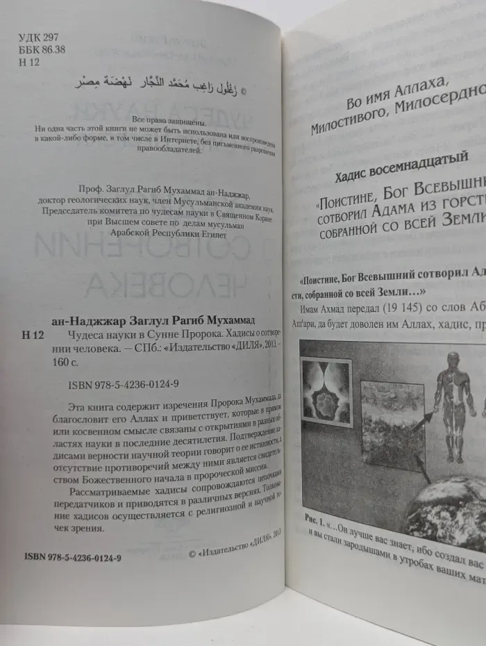 Чудеса науки в Сунне Пророка. Хадисы о сотворении человека