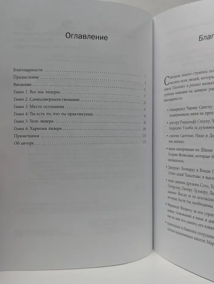 Додзе лидерства. Фундамент успеха в карьере и жизни