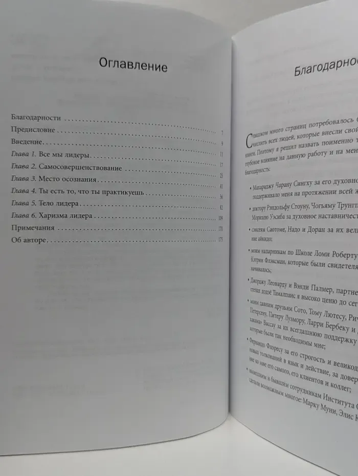 Бизнес - магия. Додзе лидерства. Фундамент успеха в карьере и жизни