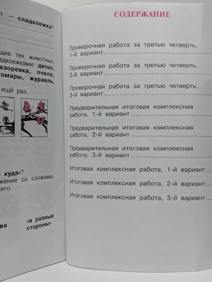 Итоговая комплексная работа на основе единого текста. 1 класс