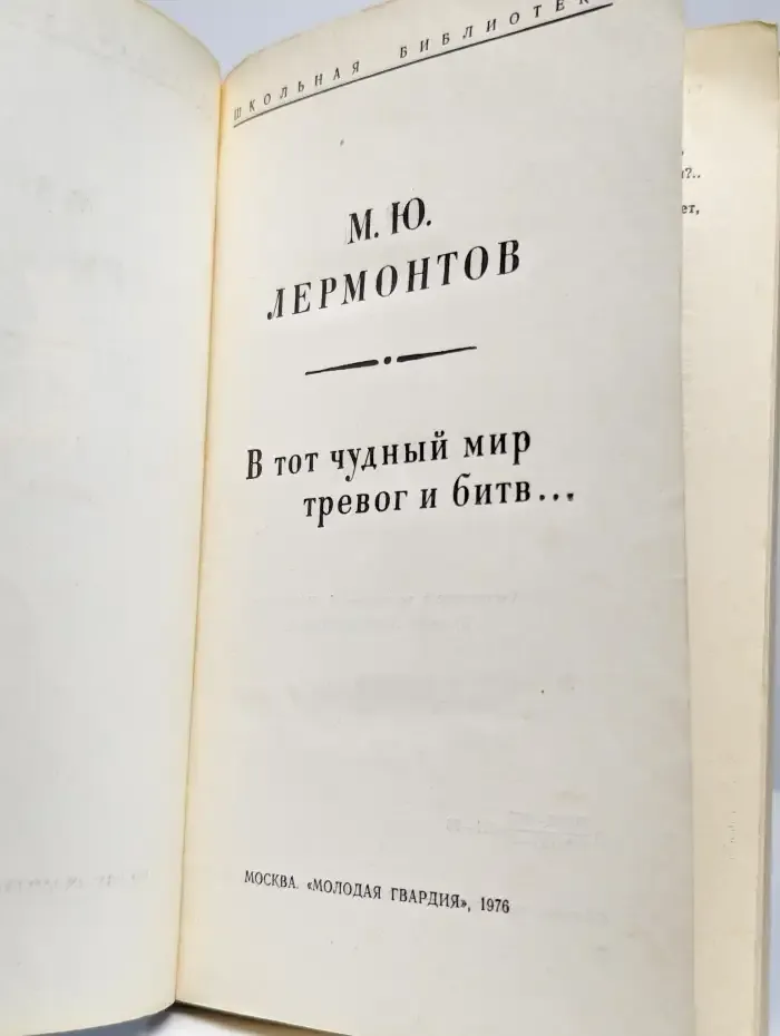 В тот чудный мир тревог и битв