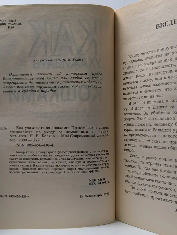 Как ухаживать за домашними кошками