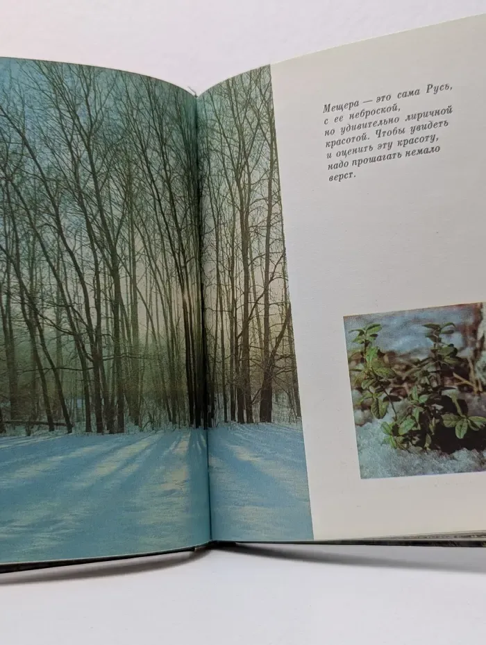 Свидания с Мещерой