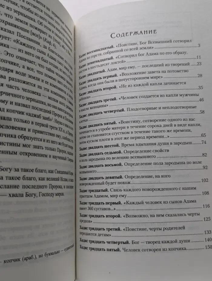 Чудеса науки в Сунне Пророка. Хадисы о сотворении человека
