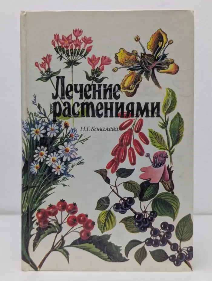 Лечение растениями