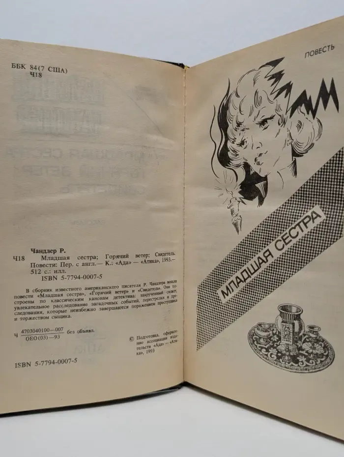 Классики зарубежного детектива. Свидетель