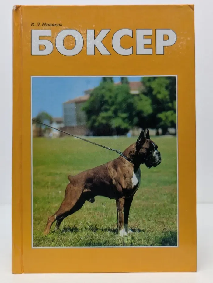 Боксер