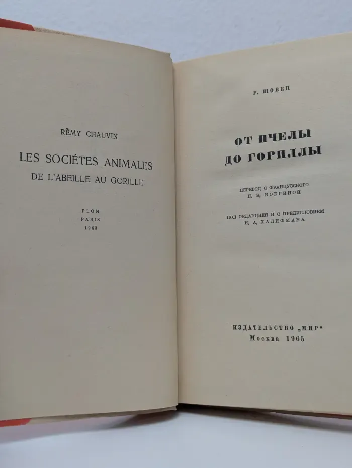 От пчелы до гориллы