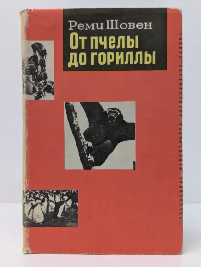 От пчелы до гориллы