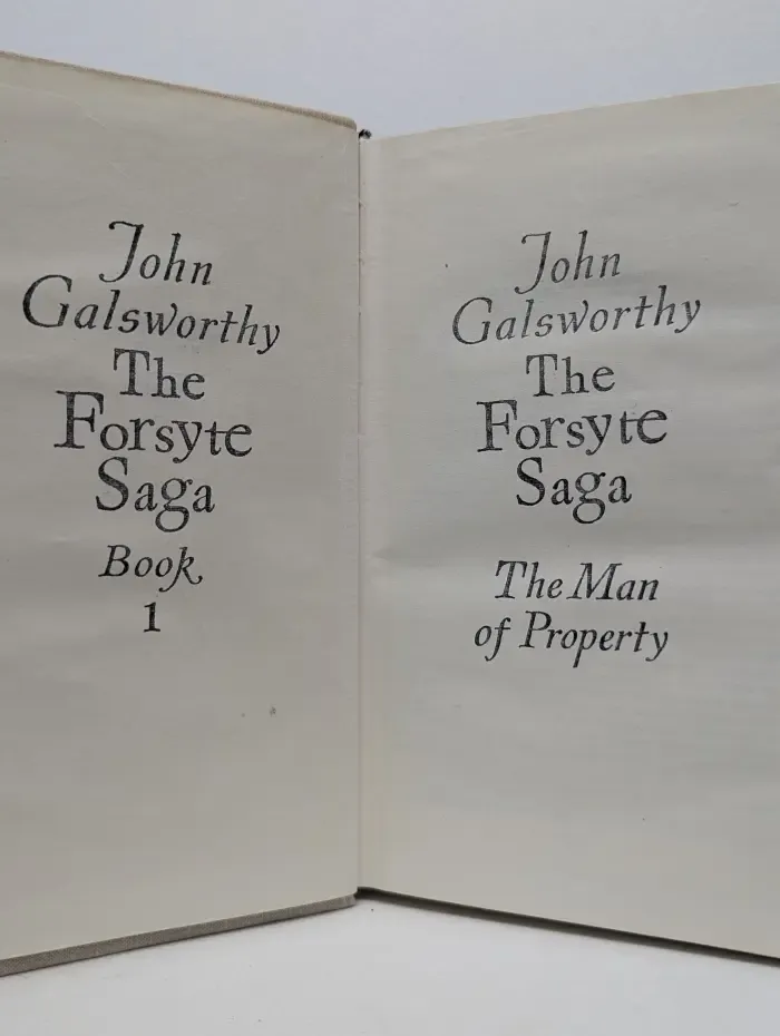 The Forsyte Saga. Book 1. The Man of Property