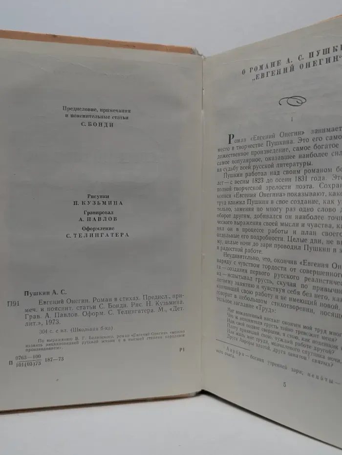 Школьная библиотека. Евгений Онегин