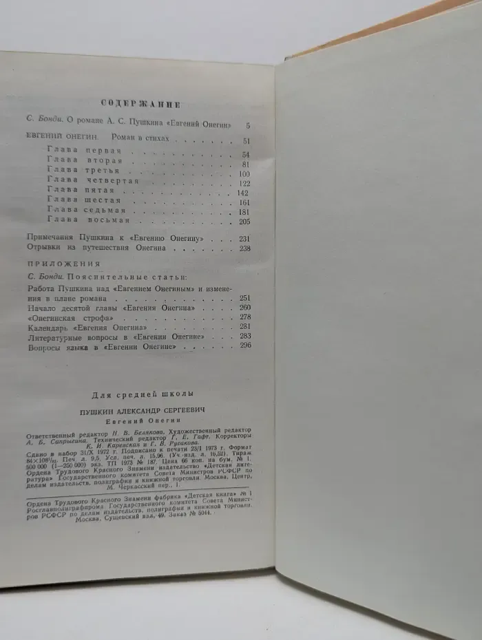 Школьная библиотека. Евгений Онегин