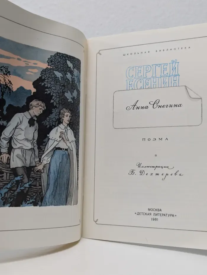 Школьная библиотека. Анна Снегина