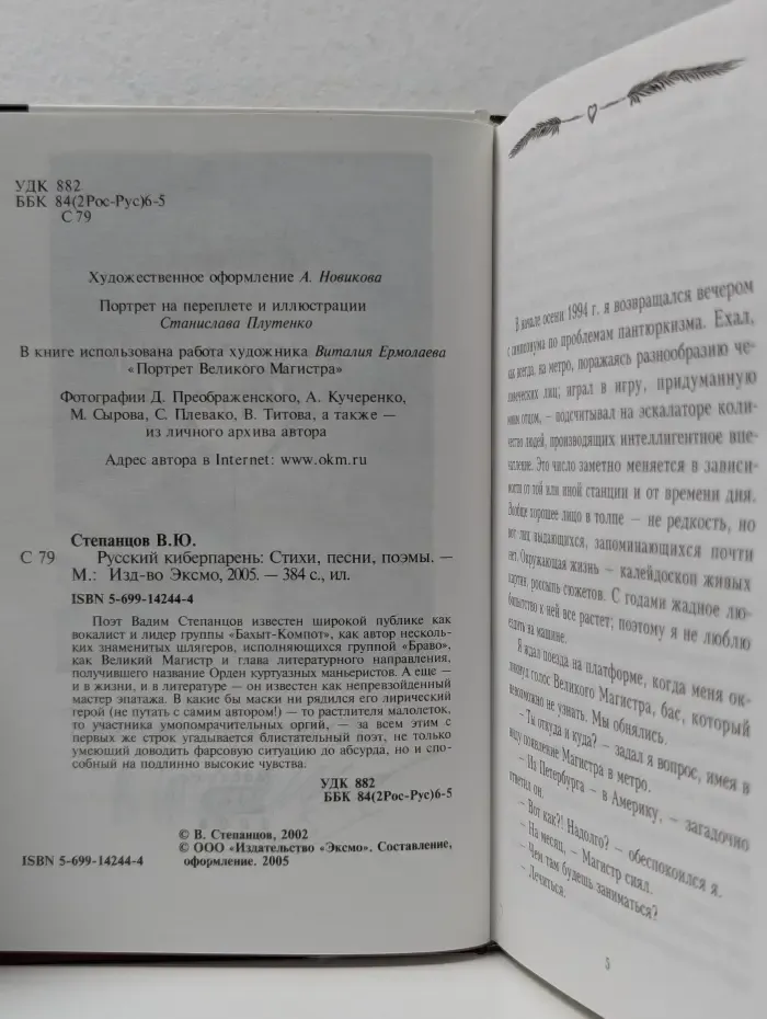Поэзия гротеска. Русский киберпарень