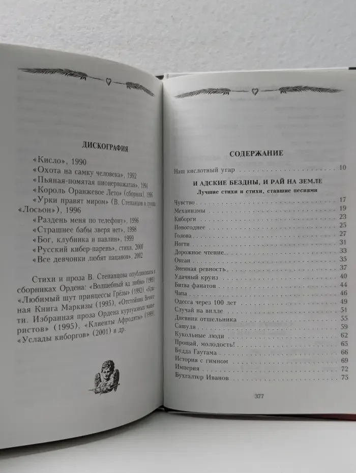 Поэзия гротеска. Русский киберпарень