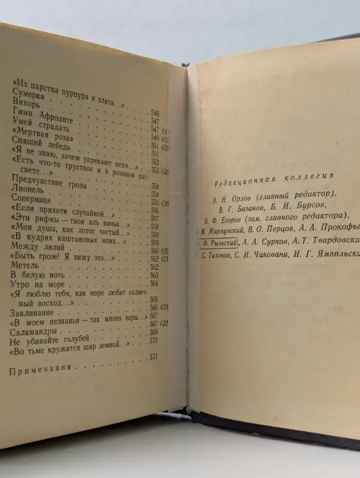 Библиотека поэта. Поэты. 1880-1890