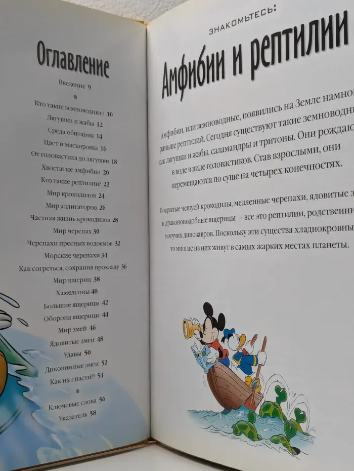 Энциклопедия. Открой мир вокруг себя. Выпуск № 16/2010. Амфибии и рептилии