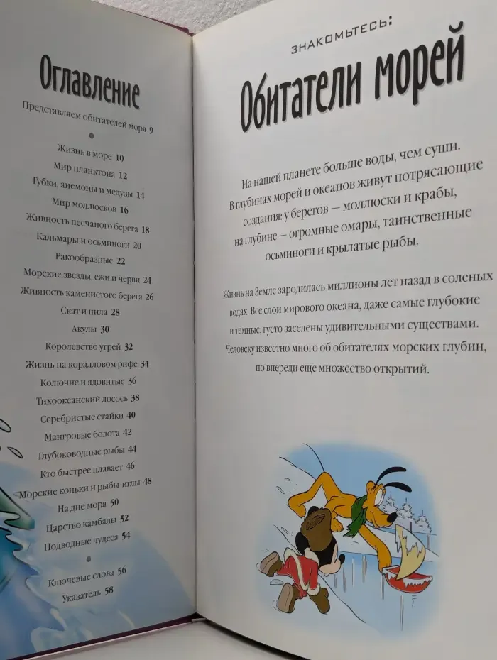 Энциклопедия. Открой мир вокруг себя. Выпуск № 4/2010. Обитатели морей