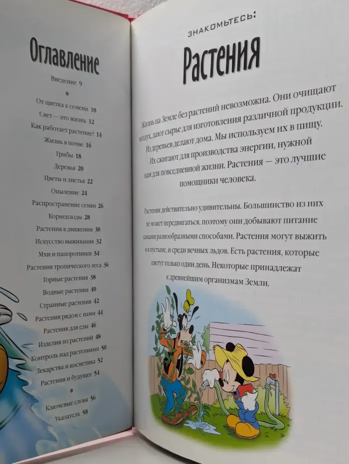 Энциклопедия. Открой мир вокруг себя. Выпуск № 11/2010. Растения
