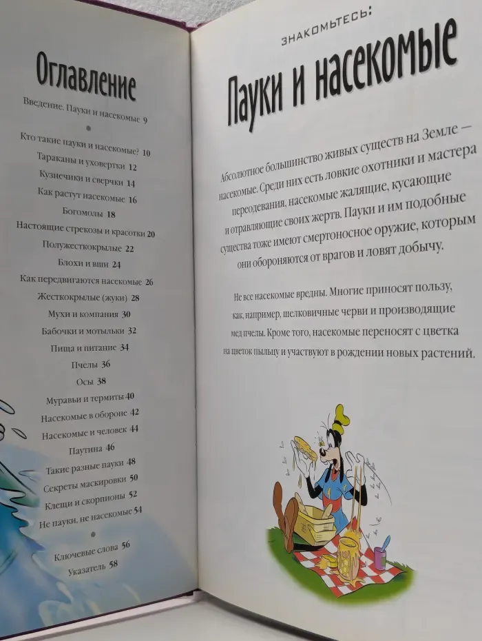 Энциклопедия. Открой мир вокруг себя. Пауки и насекомые. Том 7