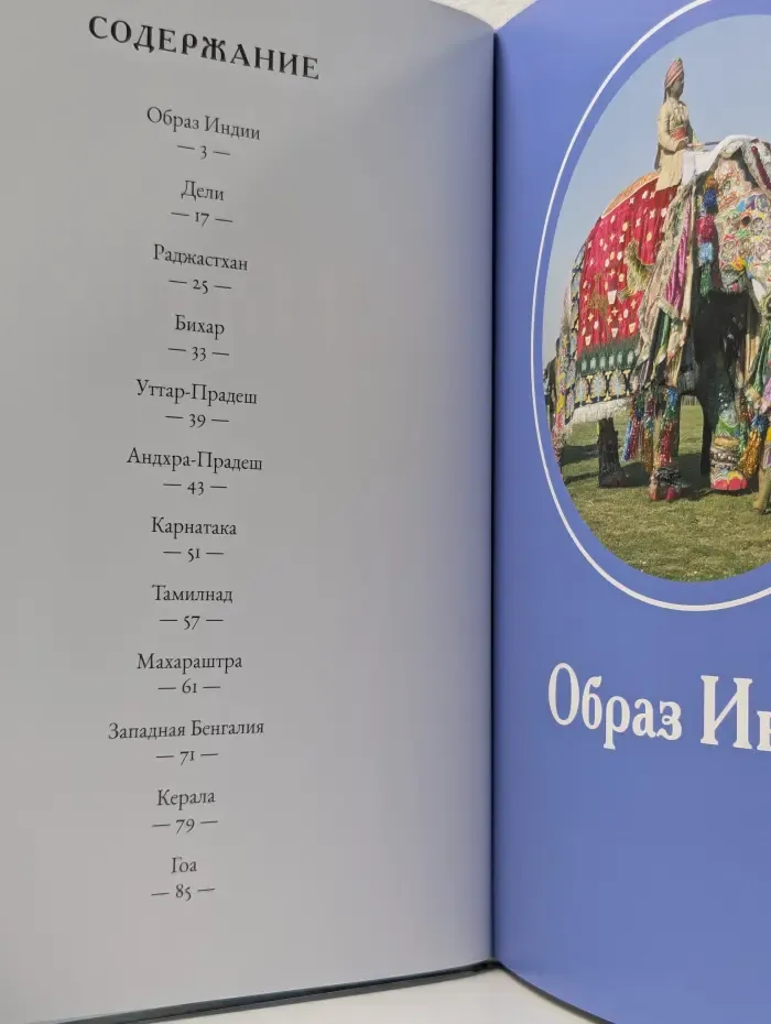 Путешествуй с удовольствием. Том 18. Индия