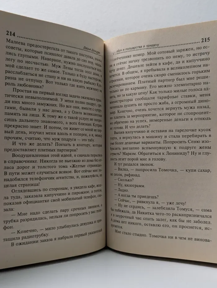Иронический детектив. Главбух и полцарства в придачу