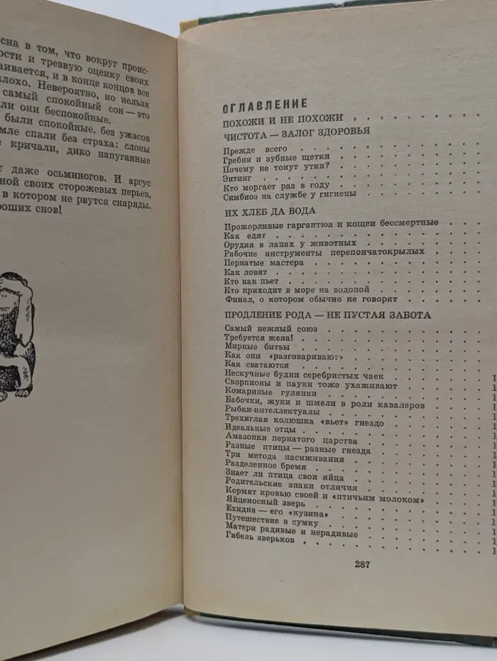 С утра до вечера
