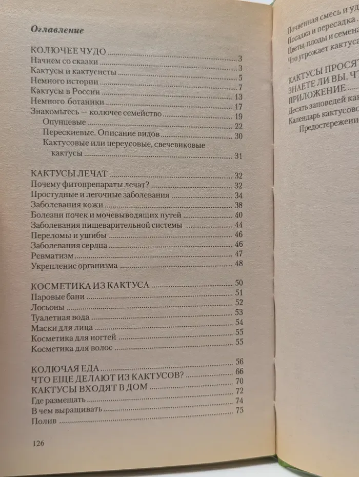 Растения-целители. Кактусы