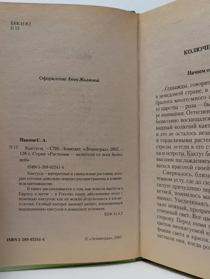 Растения-целители. Кактусы