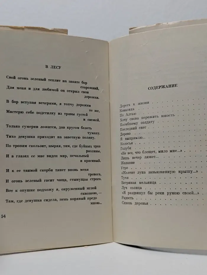 Последний снег